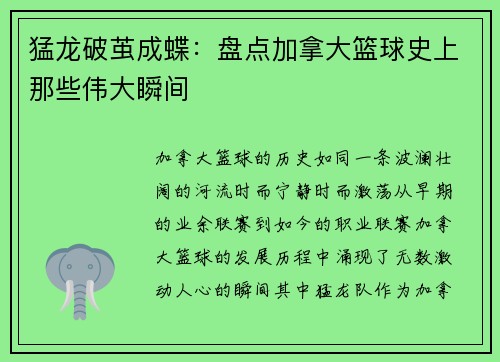 猛龙破茧成蝶：盘点加拿大篮球史上那些伟大瞬间