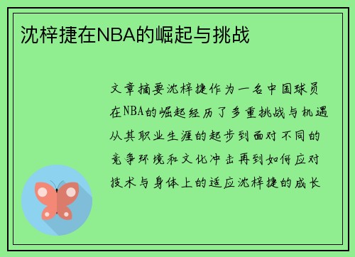 沈梓捷在NBA的崛起与挑战